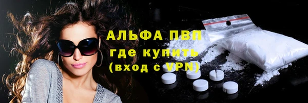 дживик Краснослободск