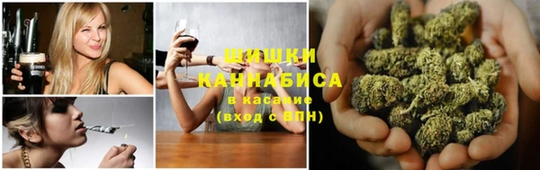 дживик Краснослободск