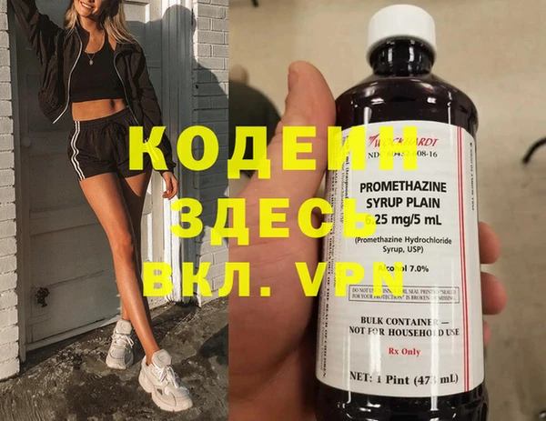 дживик Краснослободск