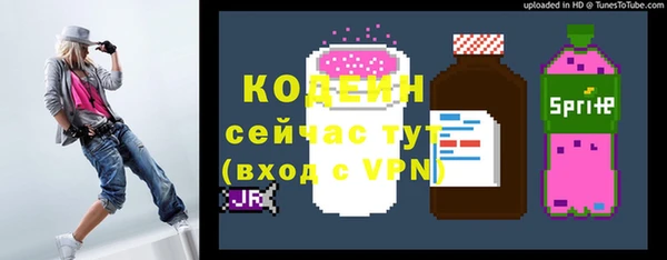 дживик Краснослободск