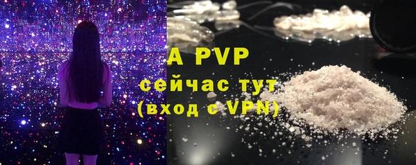 дживик Краснослободск