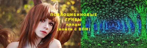 дживик Краснослободск