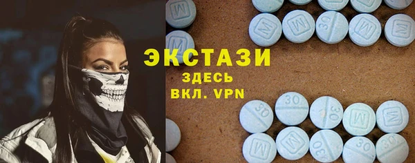дживик Краснослободск