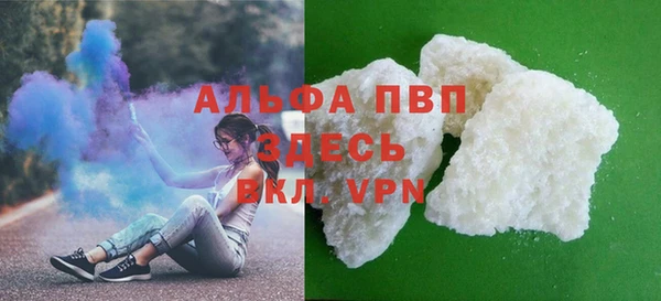 дживик Краснослободск